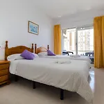 Homeincalpe Apolo Xiv * קלפה