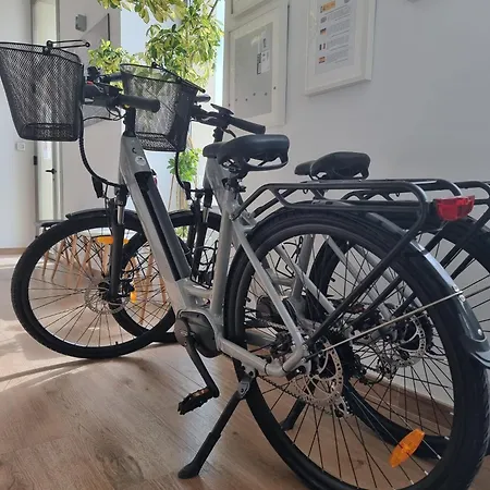 Homeincalpe Apolo Xiv Lägenhet Calpe