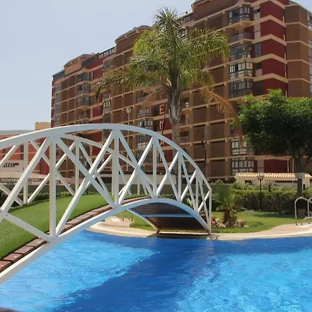 Homeincalpe Apolo Xiv