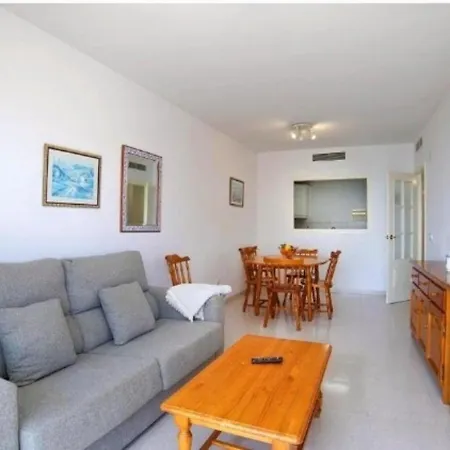 Homeincalpe Apolo Xiv