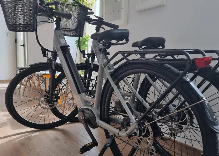 Homeincalpe Apolo Xiv Daire Calp