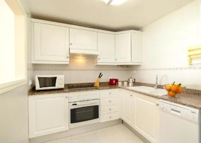 Homeincalpe Apolo Xiv Calp