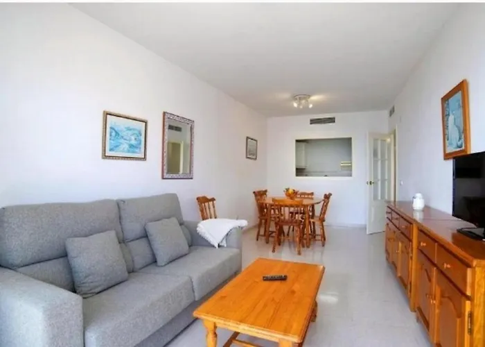 Homeincalpe Apolo Xiv