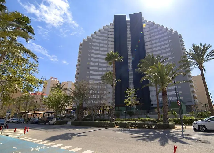 Homeincalpe Apolo Xiv * Кальпе