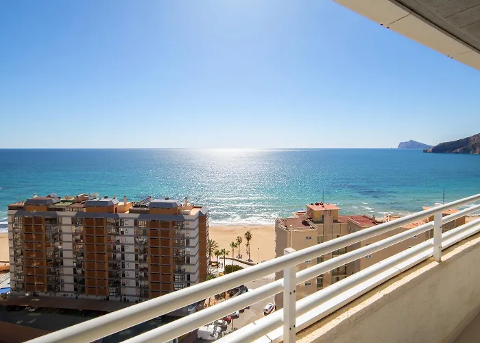 Homeincalpe Apolo Xiv * Кальпе